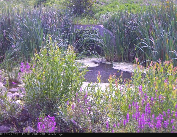 GRRNTS_DischargeAug212023_12hh13mm01ss