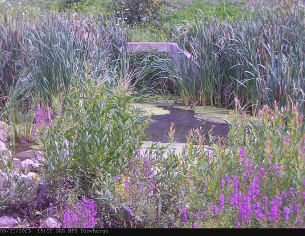 GRRNTS_DischargeAug212023_15hh13mm01ss