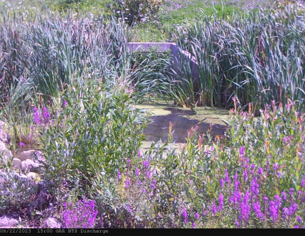 GRRNTS_DischargeAug222023_15hh13mm01ss