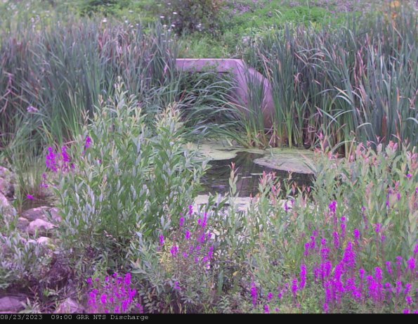 GRRNTS_DischargeAug232023_ 9hh13mm00ss