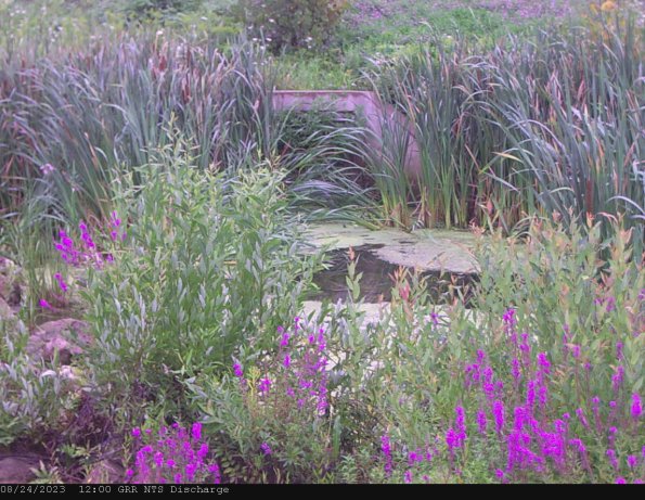 GRRNTS_DischargeAug242023_12hh13mm00ss