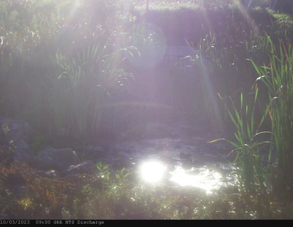 GRRNTS_DischargeOct032023_ 9hh13mm01ss