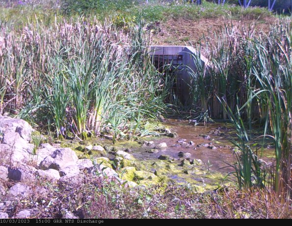 GRRNTS_DischargeOct032023_15hh13mm00ss