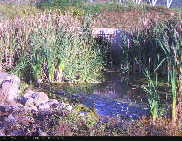 GRRNTS_DischargeOct032023_18hh13mm01ss