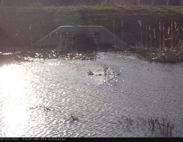 GRRNTS_DischargeApr032025_ 9hh13mm01ss