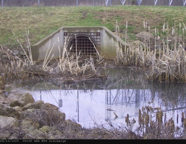 GRRNTS_DischargeApr132025_ 9hh13mm01ss