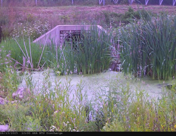 GRRNTS_DischargeAug132025_12hh13mm00ss