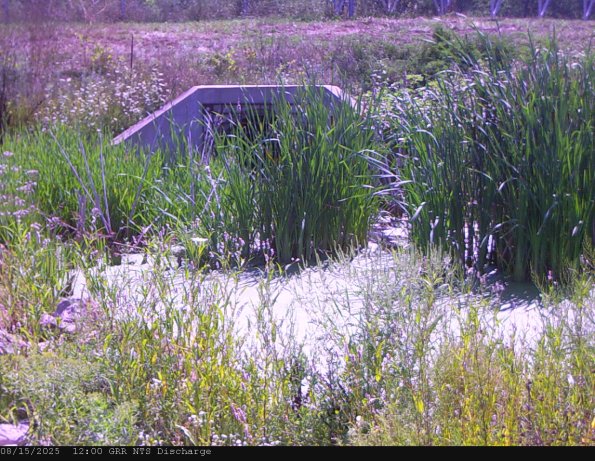 GRRNTS_DischargeAug152025_18hh13mm00ss