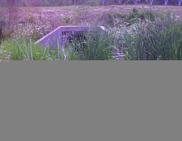 GRRNTS_DischargeAug162025_12hh13mm00ss