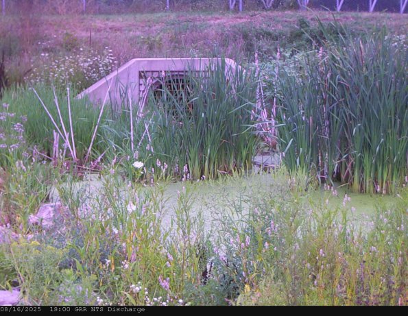 GRRNTS_DischargeAug162025_18hh13mm00ss