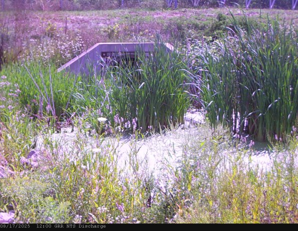 GRRNTS_DischargeAug172025_12hh13mm00ss