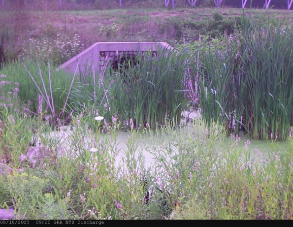 GRRNTS_DischargeAug182025_ 9hh13mm01ss