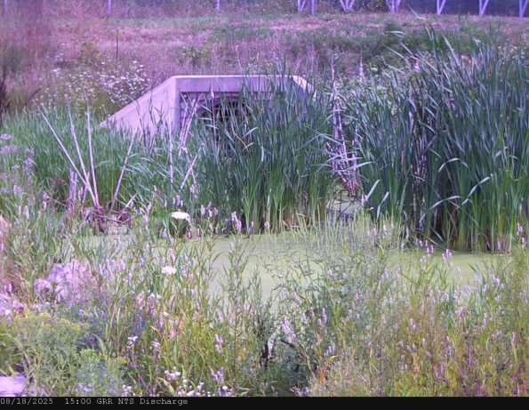 GRRNTS_DischargeAug182025_15hh13mm00ss