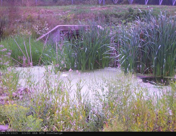 GRRNTS_DischargeAug192025_12hh13mm01ss