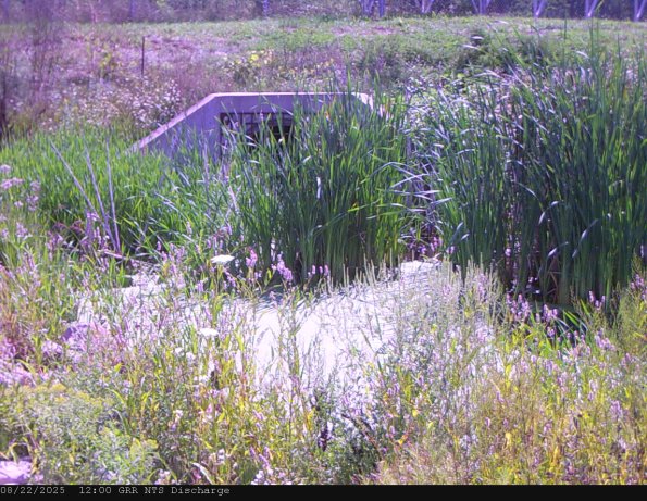 GRRNTS_DischargeAug222025_15hh13mm01ss