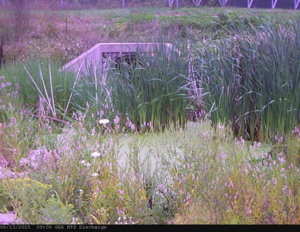 GRRNTS_DischargeAug232025_ 9hh13mm01ss