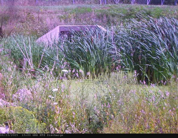 GRRNTS_DischargeAug232025_15hh13mm00ss