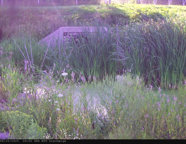 GRRNTS_DischargeAug252025_ 9hh13mm01ss