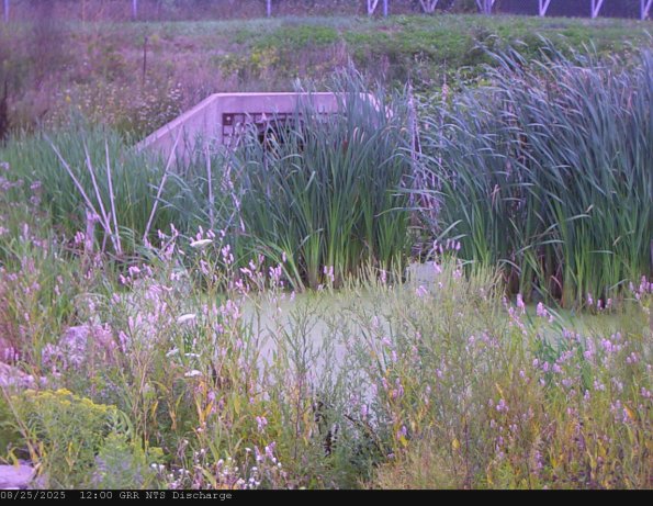 GRRNTS_DischargeAug252025_12hh13mm00ss