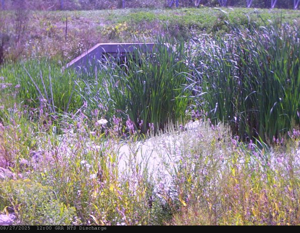 GRRNTS_DischargeAug272025_12hh13mm00ss