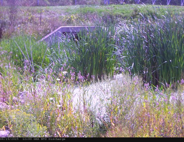 GRRNTS_DischargeAug292025_12hh13mm00ss