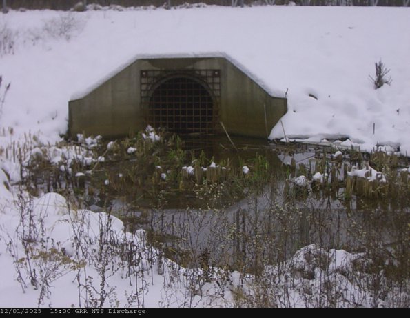 GRRNTS_DischargeDec012025_15hh13mm01ss