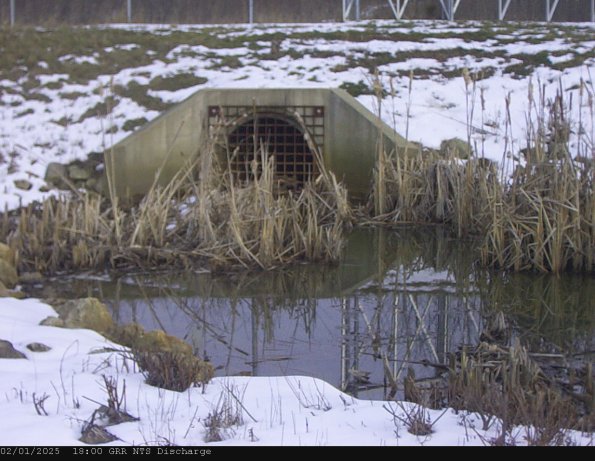 GRRNTS_DischargeFeb012025_18hh13mm01ss