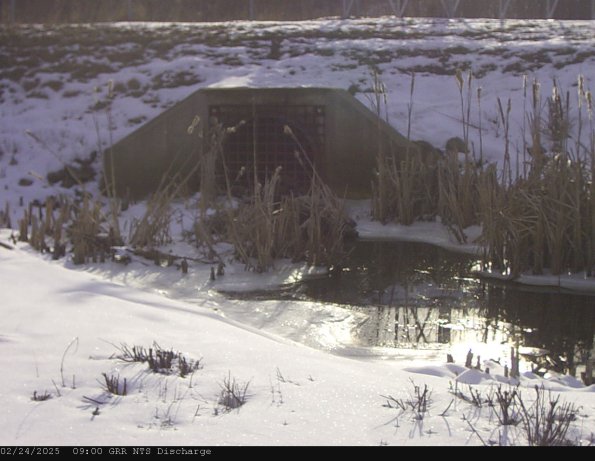 GRRNTS_DischargeFeb242025_ 9hh13mm01ss