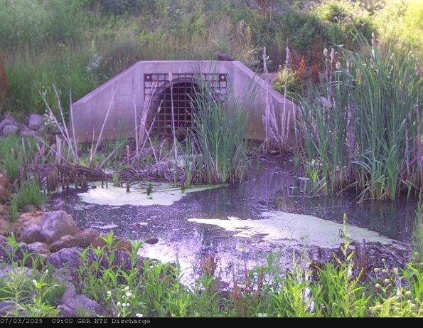 GRRNTS_DischargeJul032025_ 9hh13mm01ss