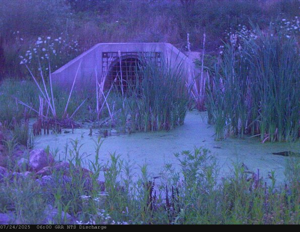 GRRNTS_DischargeJul242025_ 6hh13mm00ss