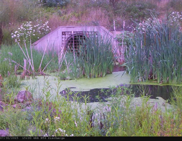 GRRNTS_DischargeJul302025_15hh13mm00ss