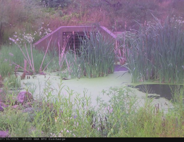 GRRNTS_DischargeJul302025_18hh13mm01ss