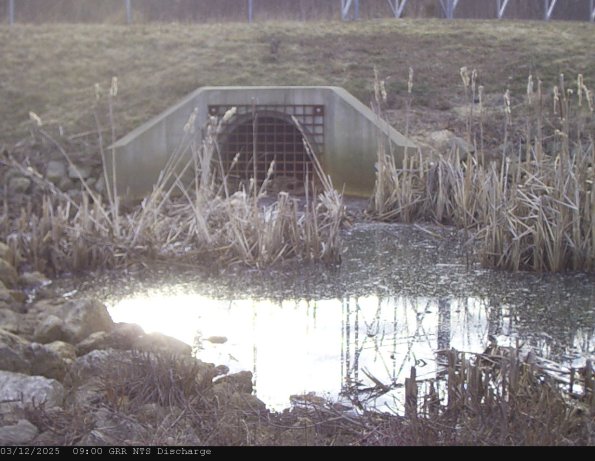 GRRNTS_DischargeMar122025_ 9hh13mm01ss