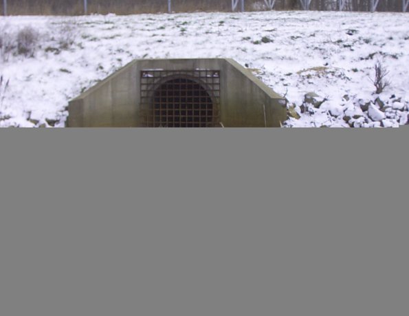 GRRNTS_DischargeNov282025_12hh13mm01ss