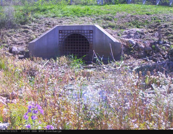 GRRNTS_DischargeOct022025_12hh13mm01ss