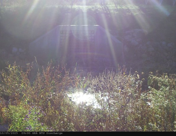 GRRNTS_DischargeOct052025_ 9hh13mm01ss