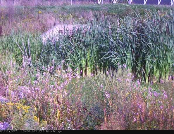GRRNTS_DischargeSep112025_18hh13mm00ss