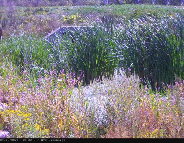 GRRNTS_DischargeSep122025_12hh13mm00ss