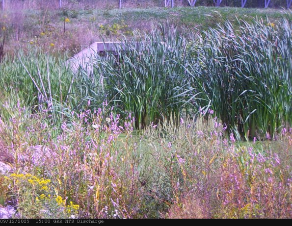 GRRNTS_DischargeSep122025_15hh13mm00ss