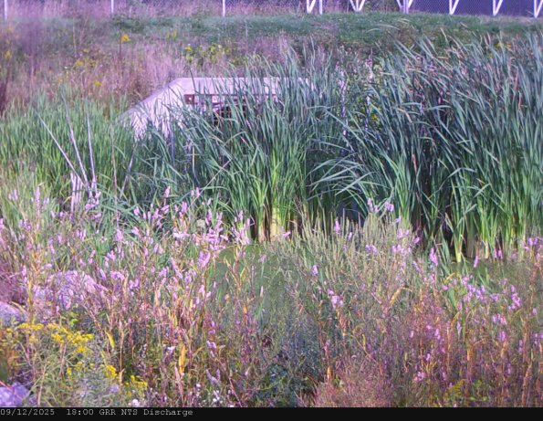 GRRNTS_DischargeSep122025_18hh13mm00ss