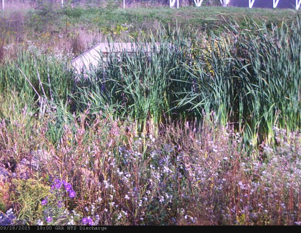 GRRNTS_DischargeSep282025_18hh13mm01ss