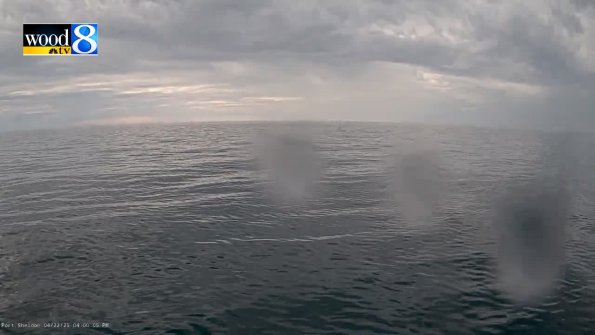 PortSheldonApr222025_16hh03mm01ss