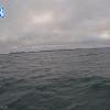 PortSheldonApr262025_ 8hh03mm01ss