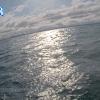 PortSheldonApr262025_ 9hh03mm00ss