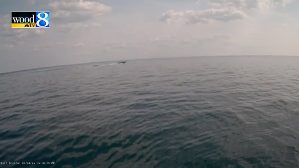 PortSheldonAug042025_17hh03mm00ss