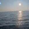 PortSheldonAug142025_ 8hh03mm00ss
