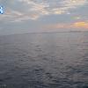 PortSheldonAug152025_ 8hh03mm01ss