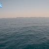 PortSheldonAug152025_15hh03mm00ss