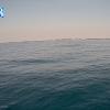 PortSheldonAug152025_16hh03mm01ss