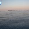PortSheldonAug152025_20hh03mm00ss
